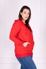 Picture of PLUS SIZE HOODIE